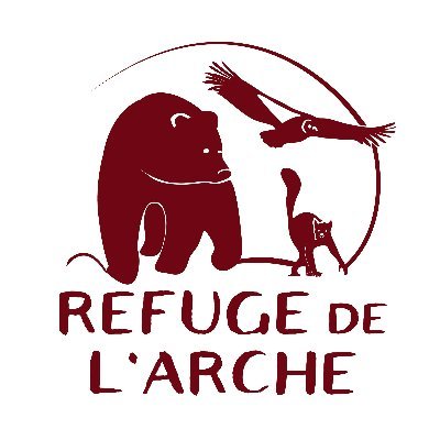 Refugedelarche's profile picture. Le Refuge de l'Arche, ouvert au public, est spécialisé dans le sauvetage et l'accueil d'animaux sauvages exotiques. 🐻🦁🐒