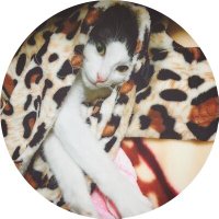 SAPA🕯 (@ssapa0113) 's Twitter Profile