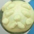 しろく饅さんのプロフィール画像