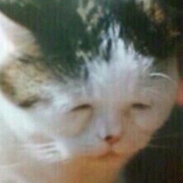 go66006's profile picture. 