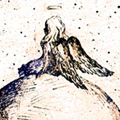 mikro_cosmoz's profile picture. Parvus error in principio magnus est in fine.