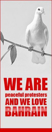 FatimaMohdEid's profile picture. 