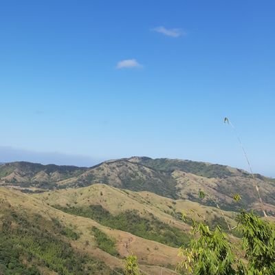 jiajhajia's profile picture. 