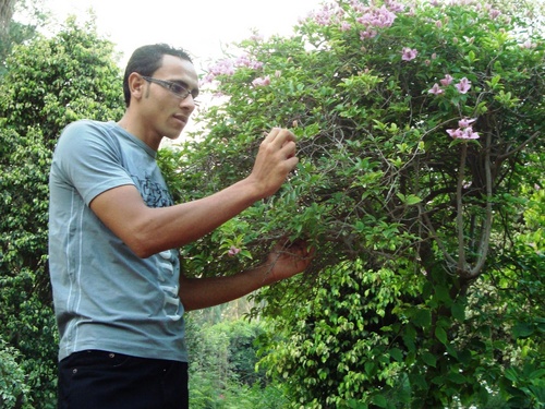 انا مصرى