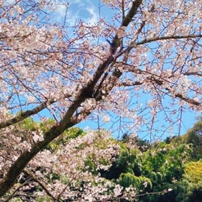 ymymym1129ertc's profile picture. 