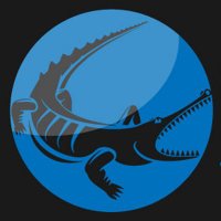GATOR SOUND (@gatorsoundmain) 's Twitter Profile