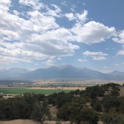 cuervo06's profile picture. Natural