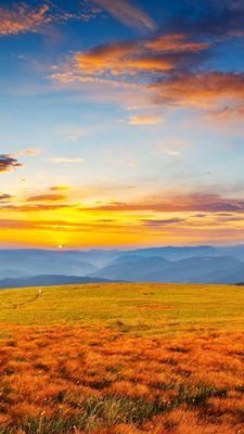 Yuanli42740228's profile picture. mmmm