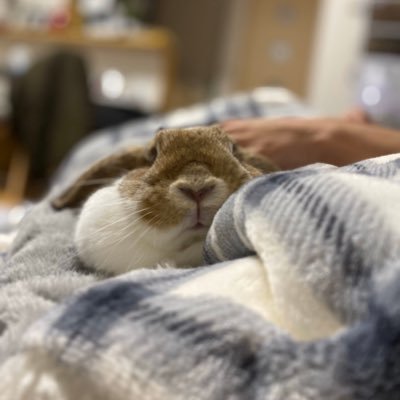 お前もこうなりたいか！？子供は元気か？元気が何より！！！