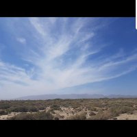 MissBellham (@bellhammiss) 's Twitter Profile