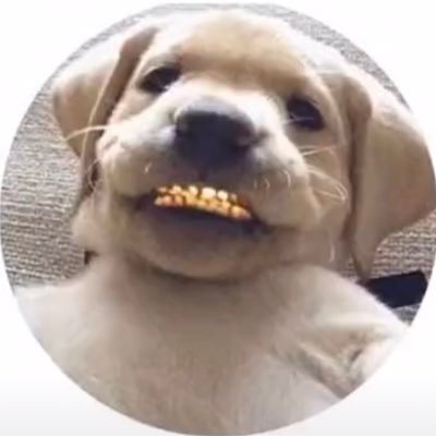 Danny76101064's profile picture. 