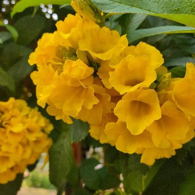 chandrahas1396's profile picture. सत्य परेशान हो सकता है, पराजित नहीं।