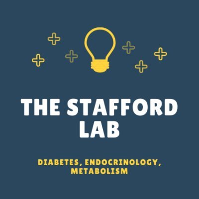 VUMC Department of Diabetes, Endocrinology and Metabolism research laboratory, investigating how diabetes and obesity contribute to cardiovascular risk.
