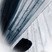 Capes junior (@fjucejunior) 's Twitter Profile