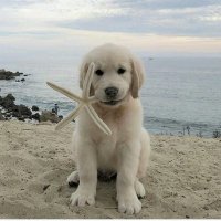 NeusF (@neus61559978) 's Twitter Profile