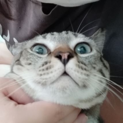 • 비에이피 Jongup • Cat lovers ติ่งซีรีส์จีน เกาหลี ญี่ปุ่น 👉BE HUMBLE