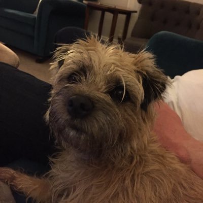 Poppy46471198 Profile Picture