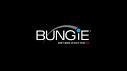 I am an animation director at Bungie.
