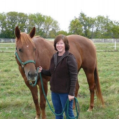 Discover Local Horse Rescue Organizations Near You