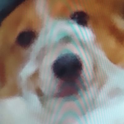 TheHockeyGma's profile picture. Mechasexual // They/Them // 23 // Children's Card Game Enthusiast // Gunpla Boi