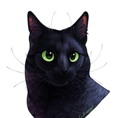 Schwarzpfote2's profile picture. ♥Warrior Cats♥
YouTube : Schwarzpfote
Instagram : schwarzpfote_warriorcat
Twitter : Schwarzpfote