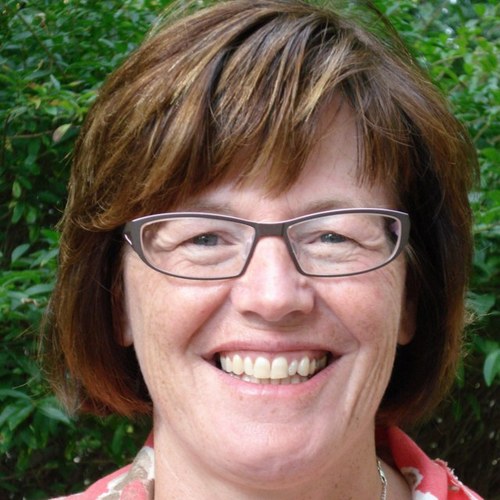 gwijffels's profile picture. Afdelingshoofd Ruimte en Economie, gemeente Zwolle: Samen maken we de stad!