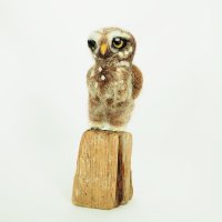 LittleWonder (@wondrousoddity) 's Twitter Profile