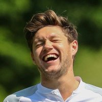 niall's potato 🇵🇱(@nandosnialla) 's Twitter Profile Photo