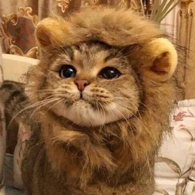 뾰롱 계이했어요さんのプロフィール画像