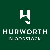 Hurworth Bloodstock (@hurworthbstock) 's Twitter Profile Photo