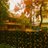 vishnu92rock's profile image