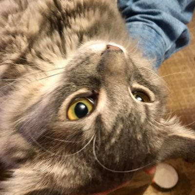 lauralynn1965's profile picture. 