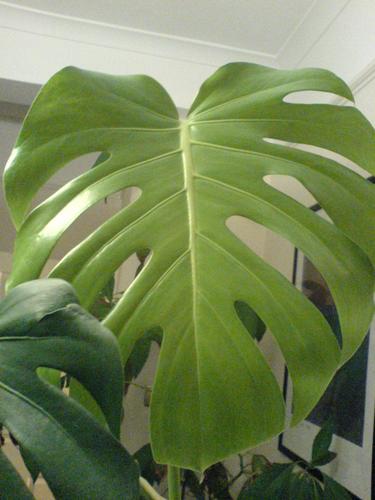 matkrassus's profile picture. 