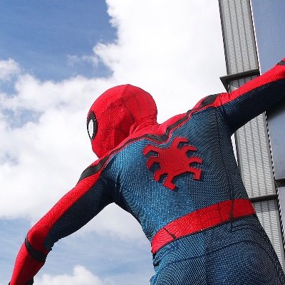 jt294794's profile picture. 