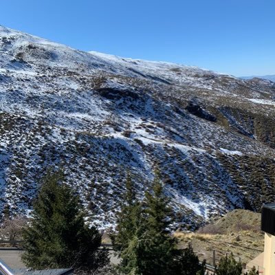 wallista_aidoga's profile picture. dream and live