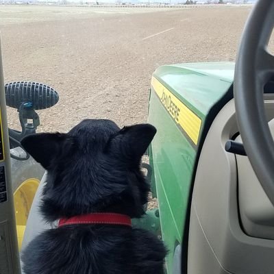 @WilhelmFarms