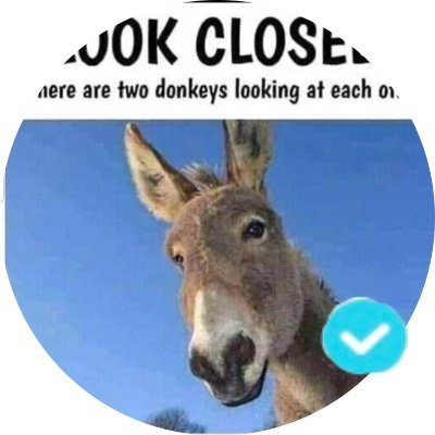 martin_eoin14's profile picture. Nba magic gaa