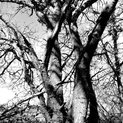 Pugh_star's profile picture. 🏴󠁧󠁢󠁷󠁬󠁳󠁿 *All views are my own *