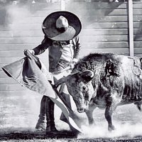 javier lozano lopez (@charrodemexico) 's Twitter Profile Photo javier lozano lopez (@charrodemexico) 's Twitter Profile Photo
