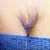 squirtinggirls (@squirtinggirls3) Twitter profile photo squirtinggirls (@squirtinggirls3) Twitter profile photo