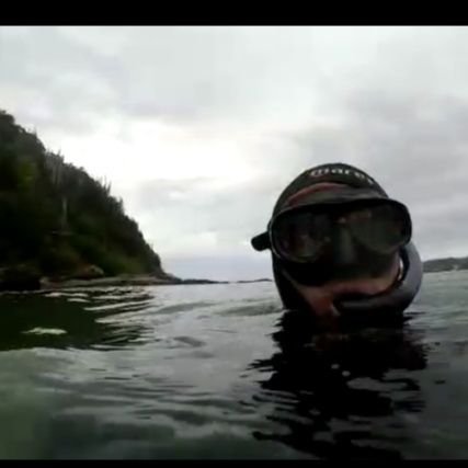 fabioalv1's profile picture. 