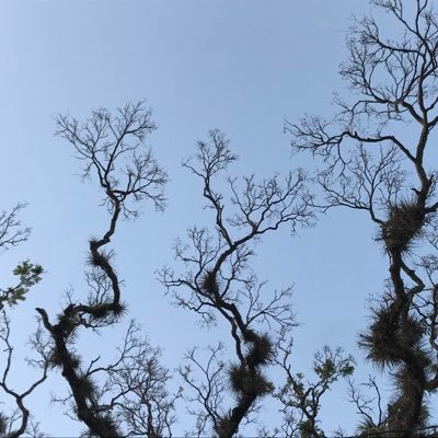 FatimaH26137476's profile picture. 