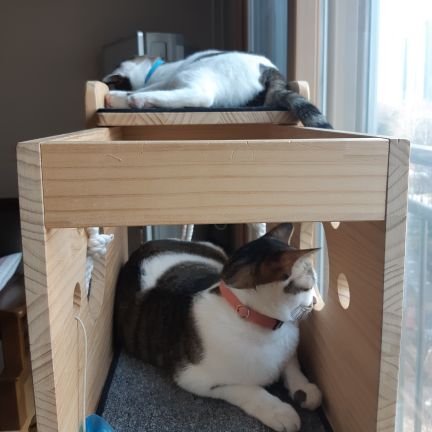 K08GruqddV8buI6's profile picture. 노무현 문재인대통령 존경
사람사는세상 후원
조중동폐간
김어준 주진우 평생까방권 
sns 상에서 욕하는분들  인격의심됨
민주당권리당원
이해찬대표 힘내세요 ^^
총선승리  친일왜구정당 소멸