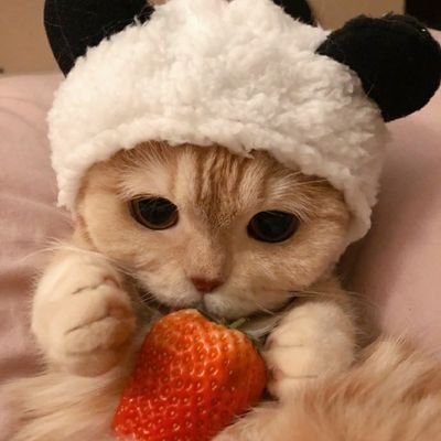 capturex3's profile picture. enjoy everyday