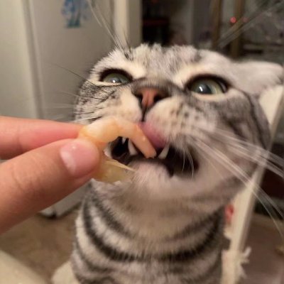 cuteimp5's profile picture. 