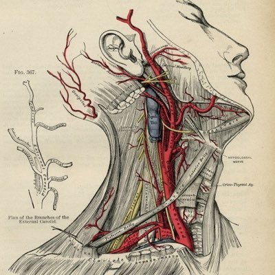 Husband | Father | Vascular Surgeon