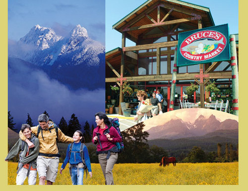 365mapleridge's profile picture. 