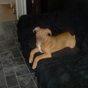 Sam Meadows - @sammeadows11 - Twitter