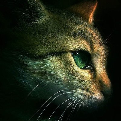 Eswarap82969584's profile picture. cricket lover ,badminton fan ,politician,love all nature