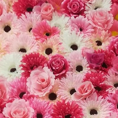 現在無所属のハイパームテキピンク🩷踊ったり衣装を作ったりチェキを撮ったりする一般人です。南山ドル研の薄いピンクでした。踊みた高校2年5組🏫⚡